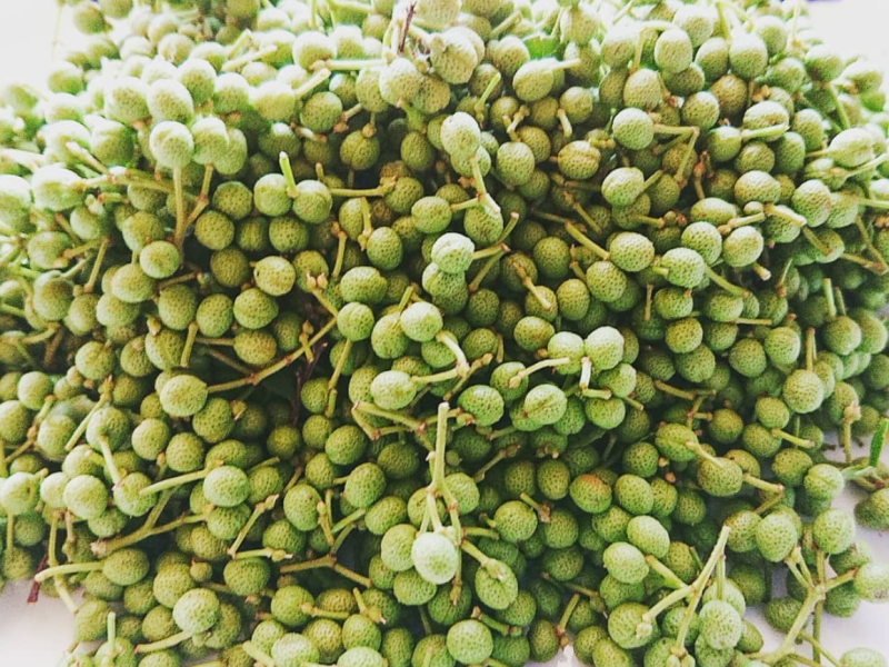 今年はやめようかな…