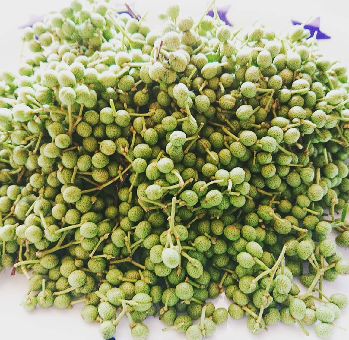 今年はやめようかな…